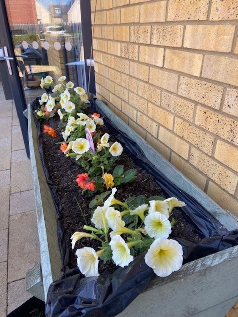 flowers in raised planters