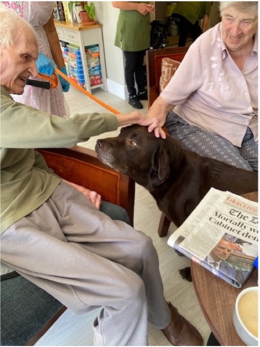 Residents petting Dog