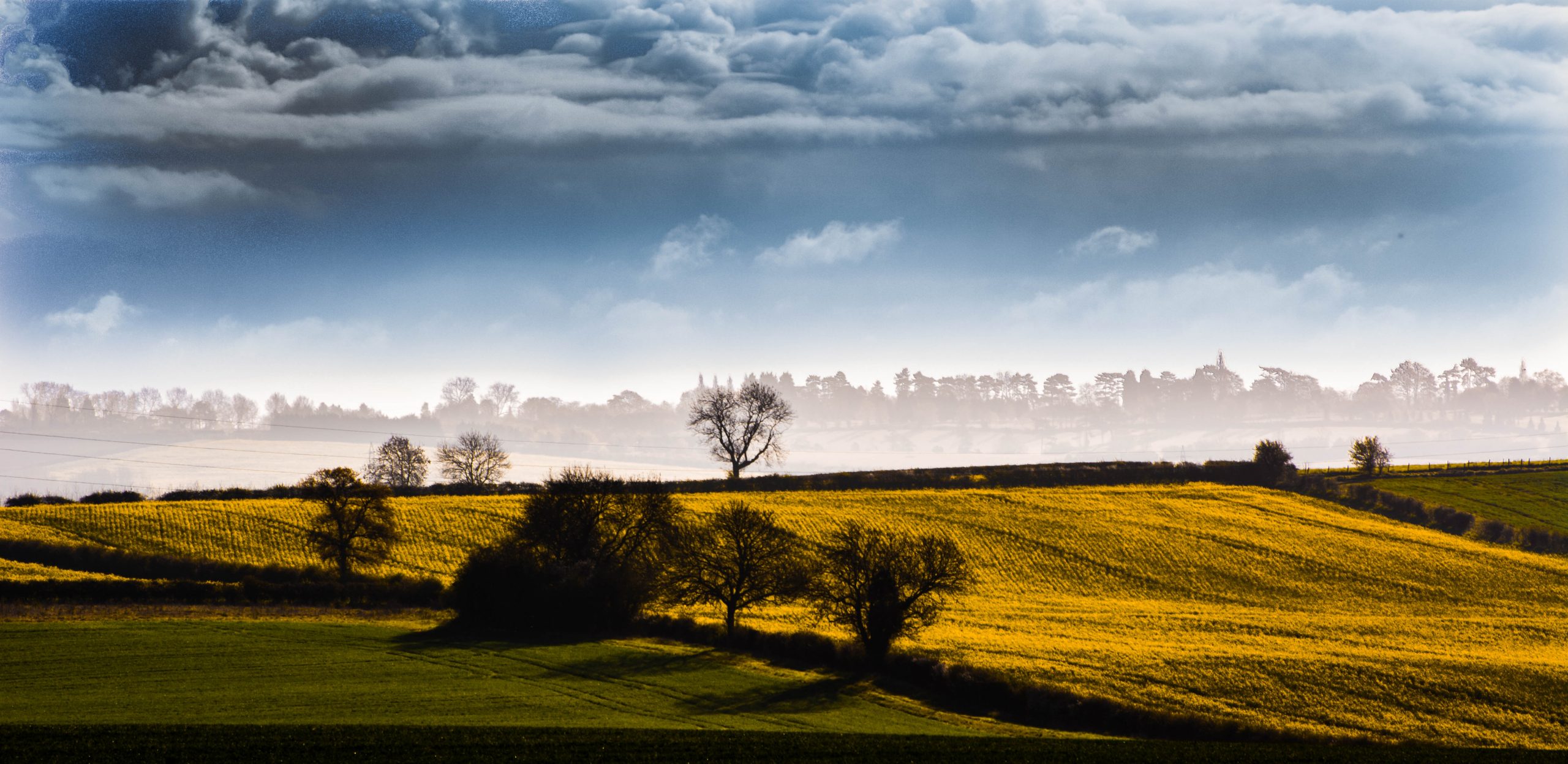 local landscape in biggleswade