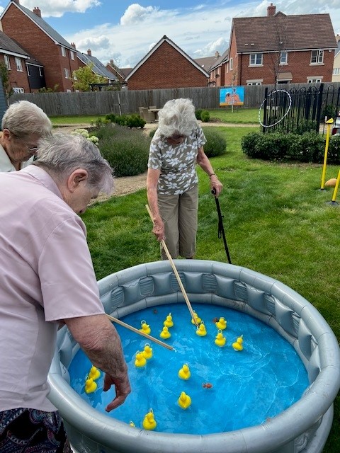 residents playing with ducks in the garden