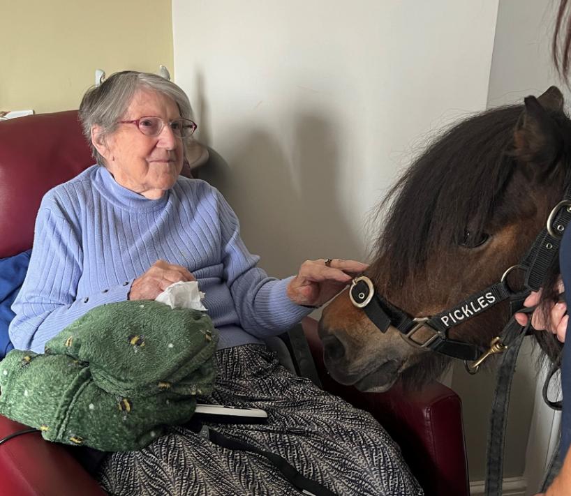 resident with pony