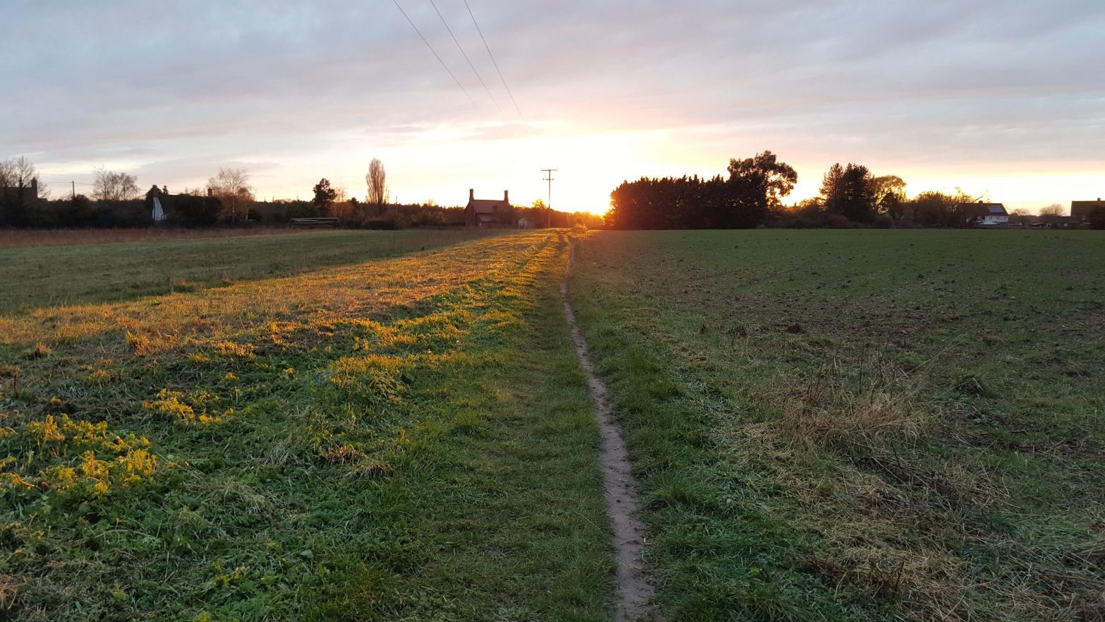 pathway in a field whilst the sun sets