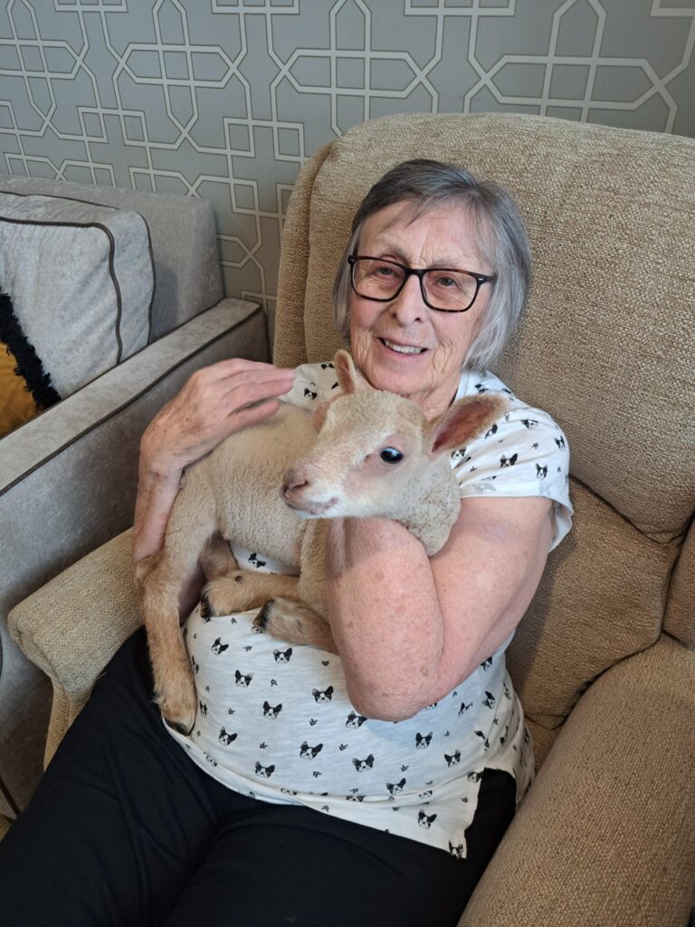 resident holding a lamb
